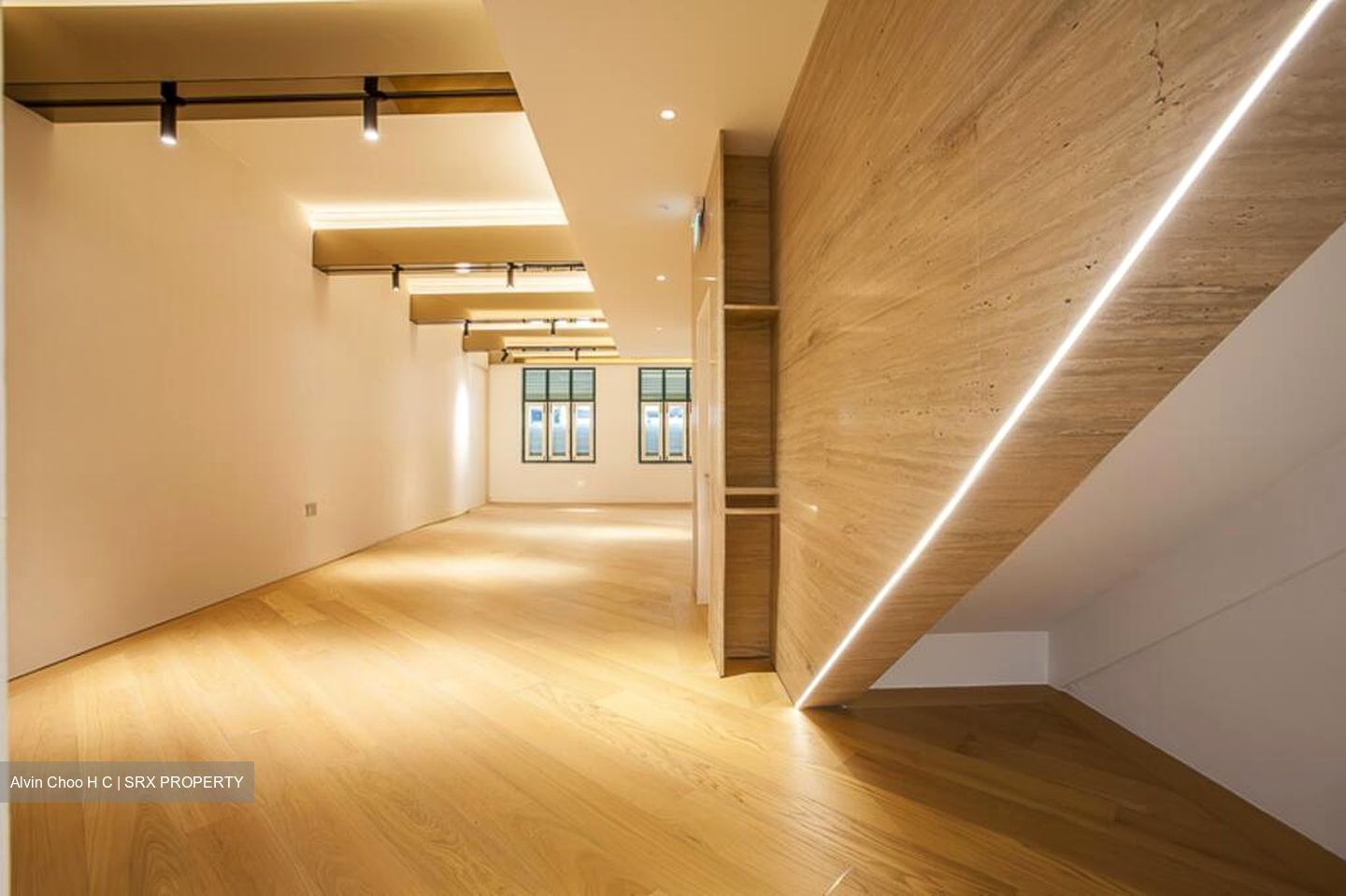 Sago Lane (D1), Shop House #501145481